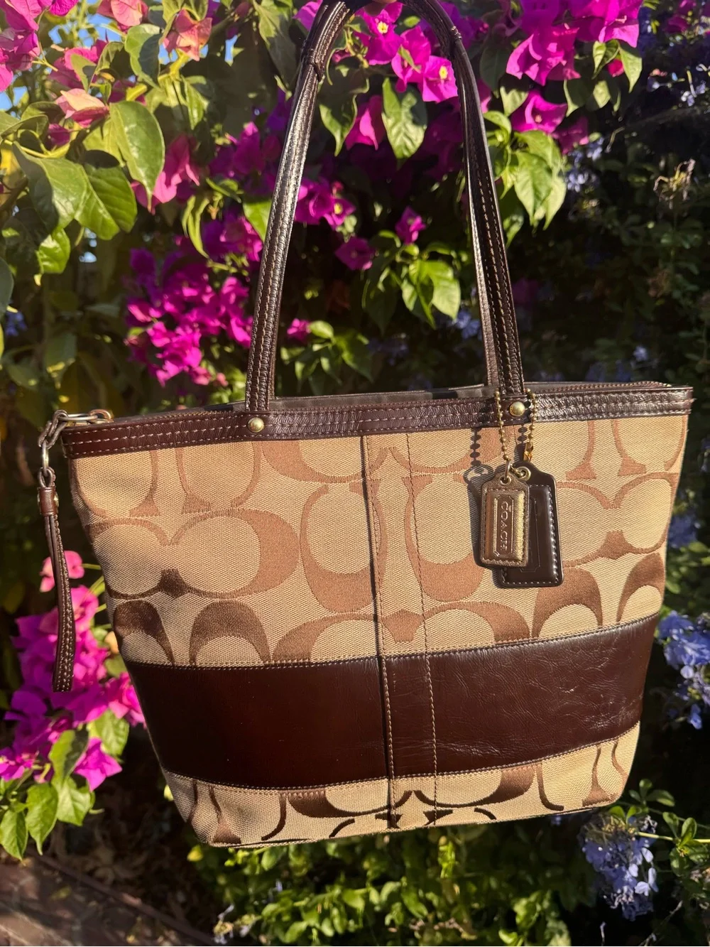 Coach Tan and Dark Brown Signature Stripe Tote